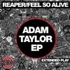 kuunnella verkossa Adam Taylor & Leigh Green - Adam Taylor EP