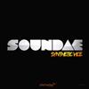 ladda ner album Soundae - Synthetic Vice