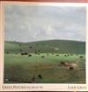 escuchar en línea Larry Groce - Green Pastures Are Before Me