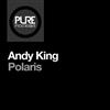 lataa albumi Andy King - Polaris