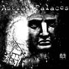 baixar álbum The Astral Palaces - The Astral Palaces