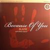 Album herunterladen Blame Featuring Selah - Because Of You