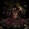 lataa albumi Cerebral Slaughter - Cadenas De Miseria