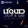 online luisteren Various - Liquid Drum Bass Essentials 14