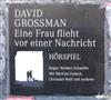 descargar álbum David Grossman - Eine Frau Flieht Vor Einer Nachricht