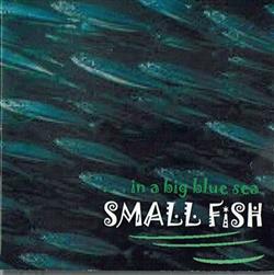 Download Small Fish - In A Big Blue Sea