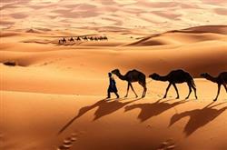 Download Potcat - Sahara
