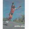 baixar álbum Skittle Alley - demo