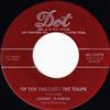 télécharger l'album Johnny Maddox And The Rhythmasters - Tip Toe Through The Tulips Avalon