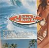 online anhören John B & The Surfin' Safaris - A Tribute To The Beach Boys