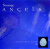 lataa albumi Strange Angels - Invisible Fire EP