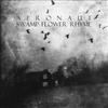 Swamp Flower Rhyme Aeronaut - Split