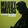 online luisteren Muddy Waters - Muddy Waters Sings The Songs Of Big Bill Broonzy