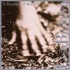 baixar álbum Lisa Bielawa - A Handful Of World