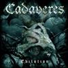 last ned album Cadaveres - EvilutionDevils Dozen