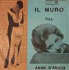 lytte på nettet Anna D'Amico - Il muro Till