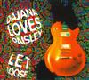 baixar álbum Dajana Loves Paisley - Let Loose