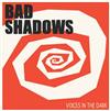 écouter en ligne Bad Shadows - Voice In The Dark