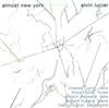 descargar álbum Alvin Lucier - Almost New York