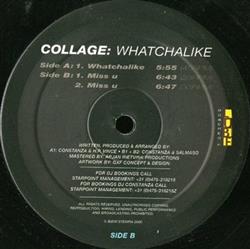 Download Collage - Whatchalike