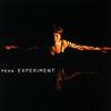 last ned album Peha - Experiment