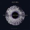 Estiva - Morpho Metamorphoses