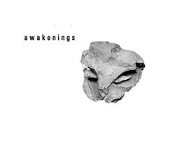 Download Various - Awakenings