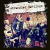 online anhören Strangled Darlings - Strangled Darlings