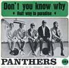 ladda ner album The Panthers - Dont You Know Why