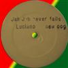 descargar álbum Luciano - Jah Jah Never Fails