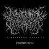 online luisteren Intracranial Parasite - Promo 2014