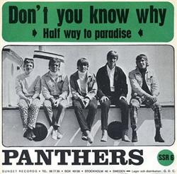 Download The Panthers - Dont You Know Why