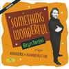 ascolta in linea Bryn Terfel, Paul Daniel, English Northern Philharmonia - Something Wonderful Bryn Terfel Sings Rodgers Hammerstein