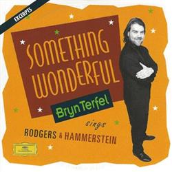 Download Bryn Terfel, Paul Daniel, English Northern Philharmonia - Something Wonderful Bryn Terfel Sings Rodgers Hammerstein