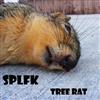 escuchar en línea Splfk - Tree Rat