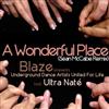 descargar álbum Blaze Presents Underground Dance Artists United For Life Feat Ultra Naté - A Wonderful Place Sean McCabe Remix