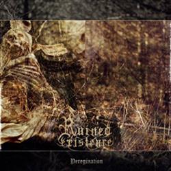 Download Ruined Existence - Peregrination