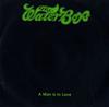 télécharger l'album The Waterboys - A Man Is In Love