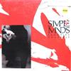 online luisteren Simple Minds - Sanctify Yourself