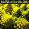 écouter en ligne Rarefolk - Natural Fractals