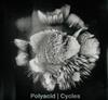 ladda ner album Polyacid - Cycles