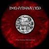 ladda ner album Dehydrated - The Dismal Millenium