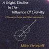 descargar álbum Mike Gribkoff - A Slight Decline In The Influence Of Gravity