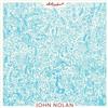 télécharger l'album John Nolan - Sad Strange Beautiful Dream Acoustic Bootleg