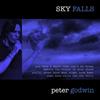 baixar álbum Peter Godwin - Sky Falls