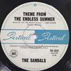 écouter en ligne The Sandals - Theme From The Endless Summer