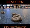 ouvir online Genieten - Genot Met Genieten Demo 2013