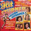 last ned album Various - Hit Stürmer 78