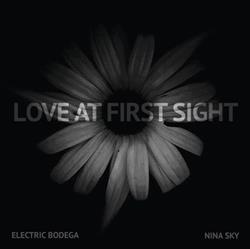 Download Electric Bodega - Love At First Sight