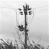 Album herunterladen Field Recordings - 20kv Cables And Telephone Wires In High Wind 29112015